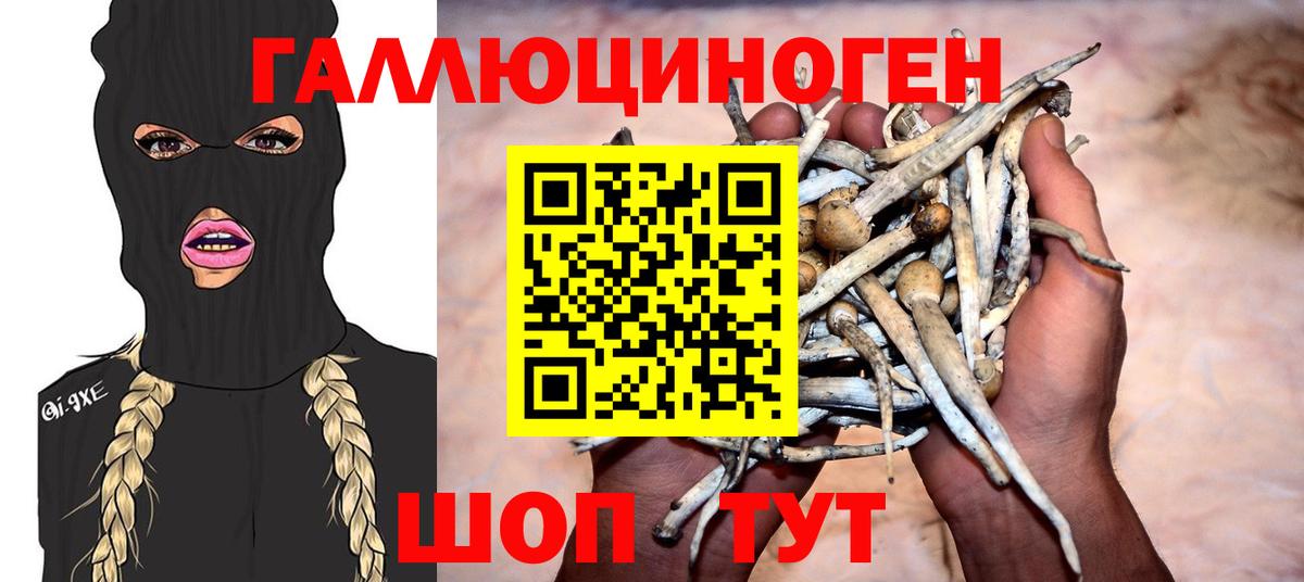 Москва  Псилоцибиновые грибы Psilocybine cubensis  Вход с VPN 