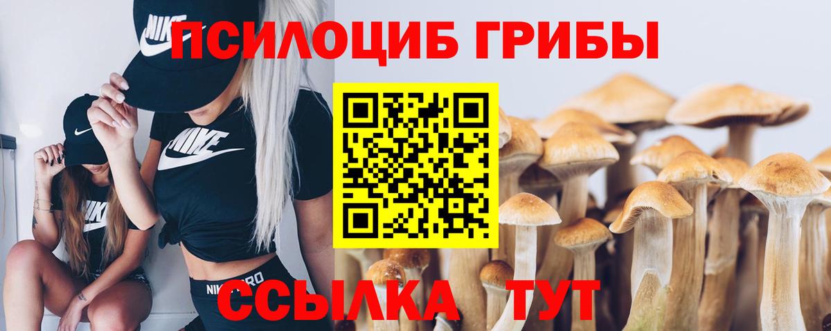 Псилоцибиновые грибы MAGIC MUSHROOMS Москва